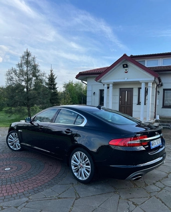 Jaguar XF cena 67900 przebieg: 130000, rok produkcji 2014 z Koronowo małe 211